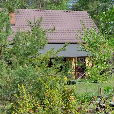 Gospodarstwo Agroturystyczne Nad Jeziorem Wsrod Lasow Lipnica  Екстериор снимка