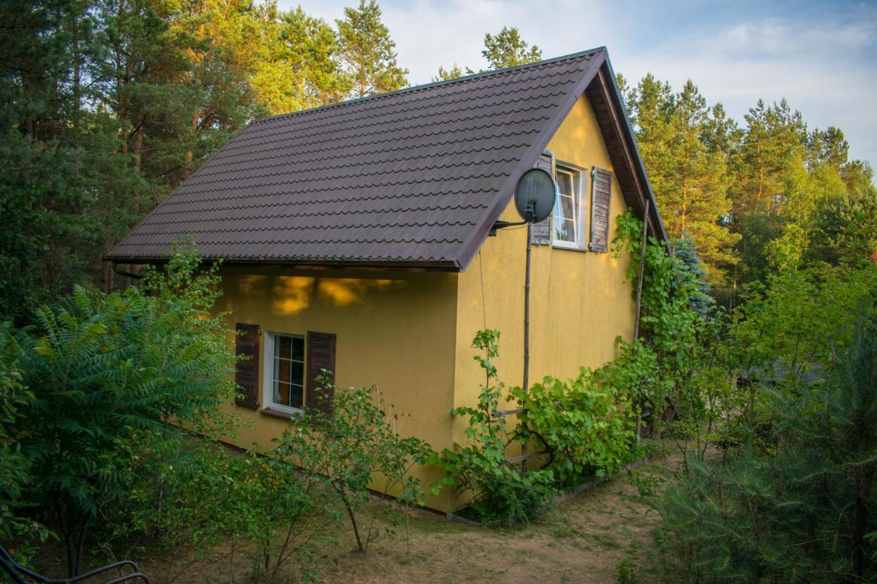 Gospodarstwo Agroturystyczne Nad Jeziorem Wsrod Lasow Lipnica  Екстериор снимка