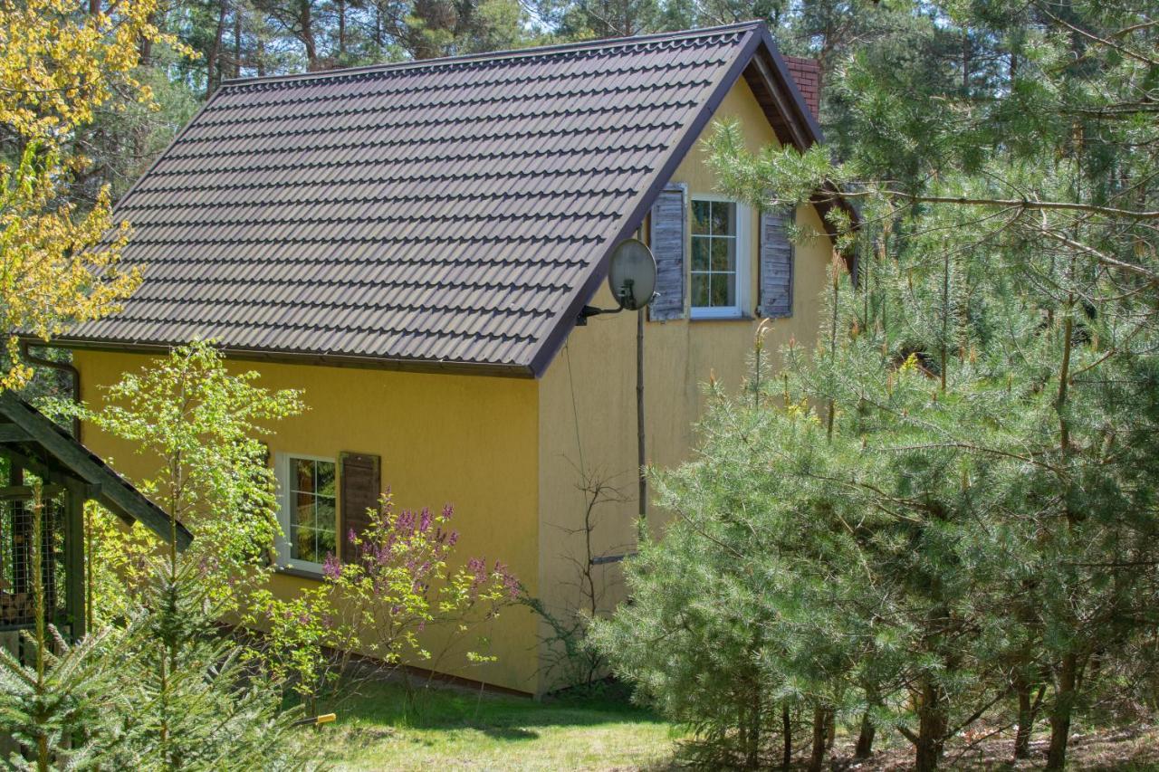 Gospodarstwo Agroturystyczne Nad Jeziorem Wsrod Lasow Lipnica  Екстериор снимка