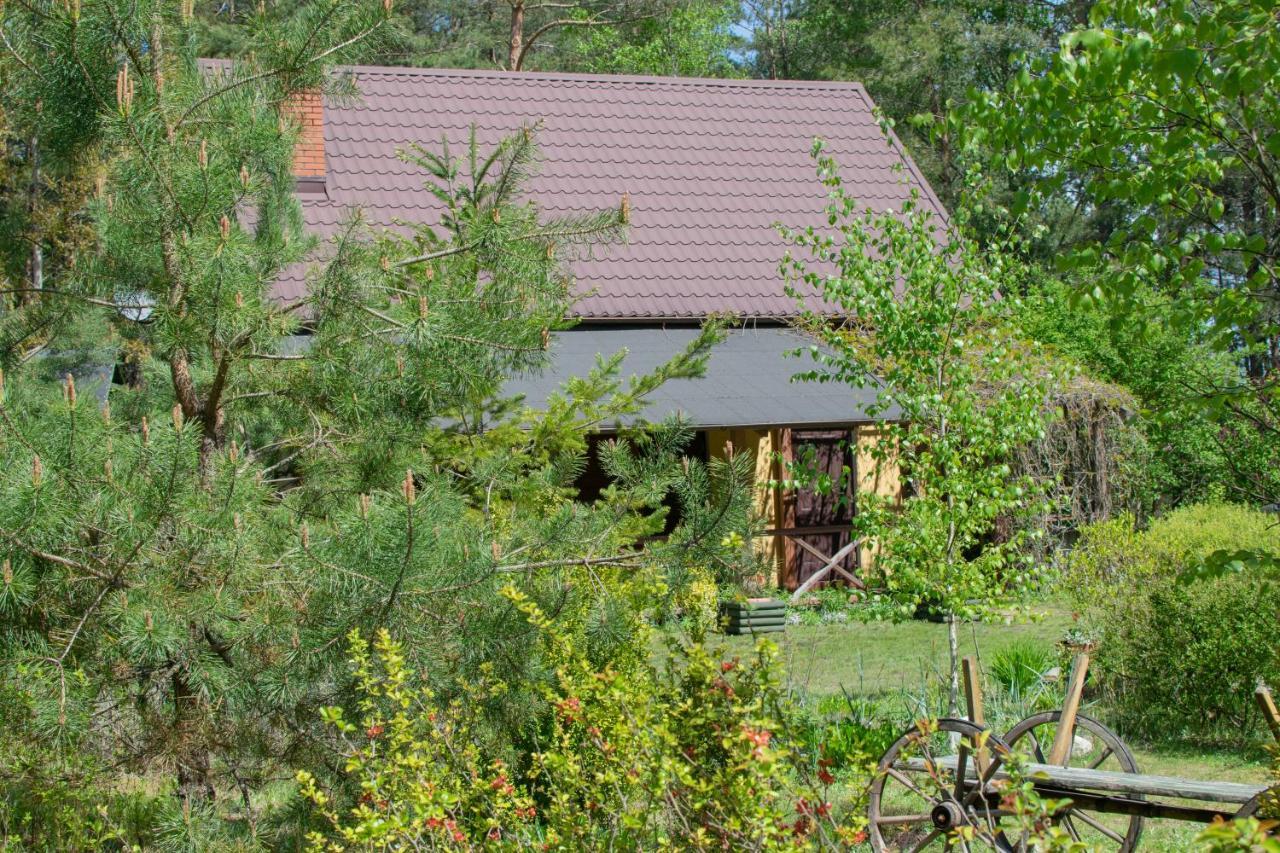 Gospodarstwo Agroturystyczne Nad Jeziorem Wsrod Lasow Lipnica  Екстериор снимка