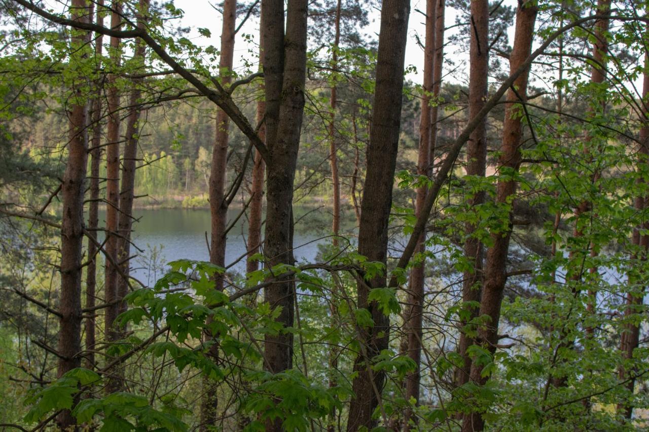 Gospodarstwo Agroturystyczne Nad Jeziorem Wsrod Lasow Lipnica  Екстериор снимка